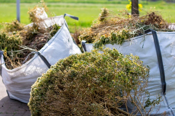 Best Construction Debris Removal  in Waverly, OH